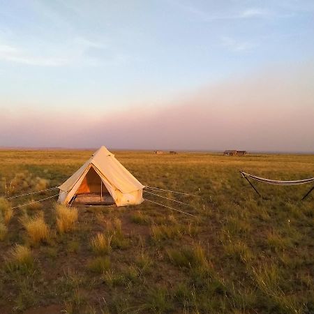 Starlight Tent 3 Holbrook Exterior foto