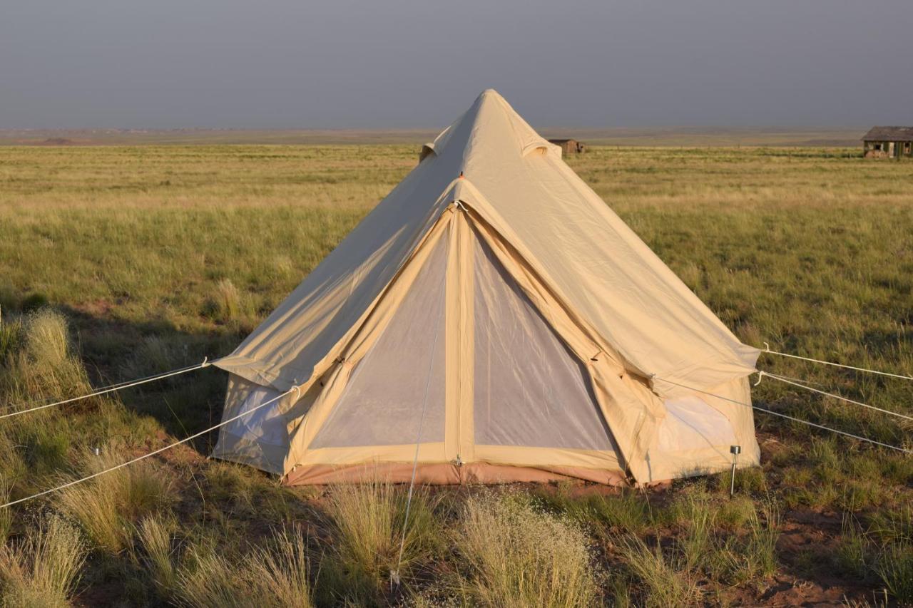 Starlight Tent 3 Holbrook Exterior foto